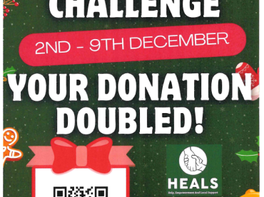 HEALS - The Big Give Christmas Challenge